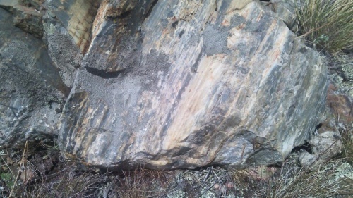 Гигантские зелёные валуны для ландшафтного дизайна весом более 5 тонн купить в Ульяновской области